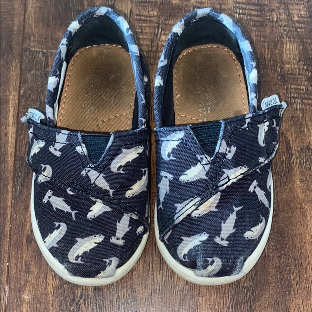 TOMS TODDLER SZ 6